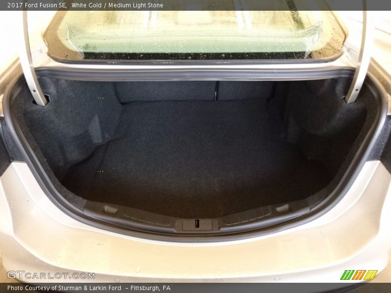 White Gold / Medium Light Stone 2017 Ford Fusion SE