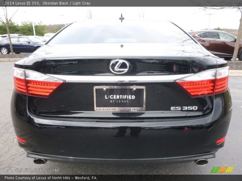 Obsidian Black / Light Gray 2014 Lexus ES 350