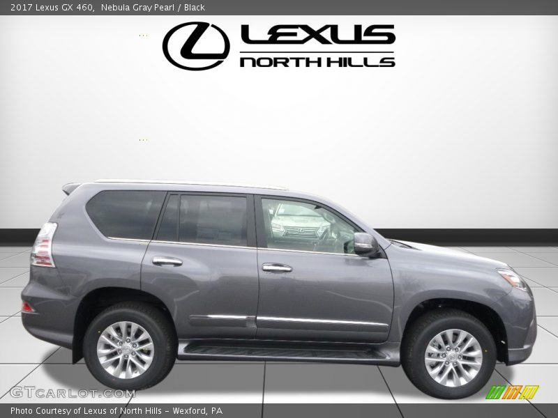 Nebula Gray Pearl / Black 2017 Lexus GX 460
