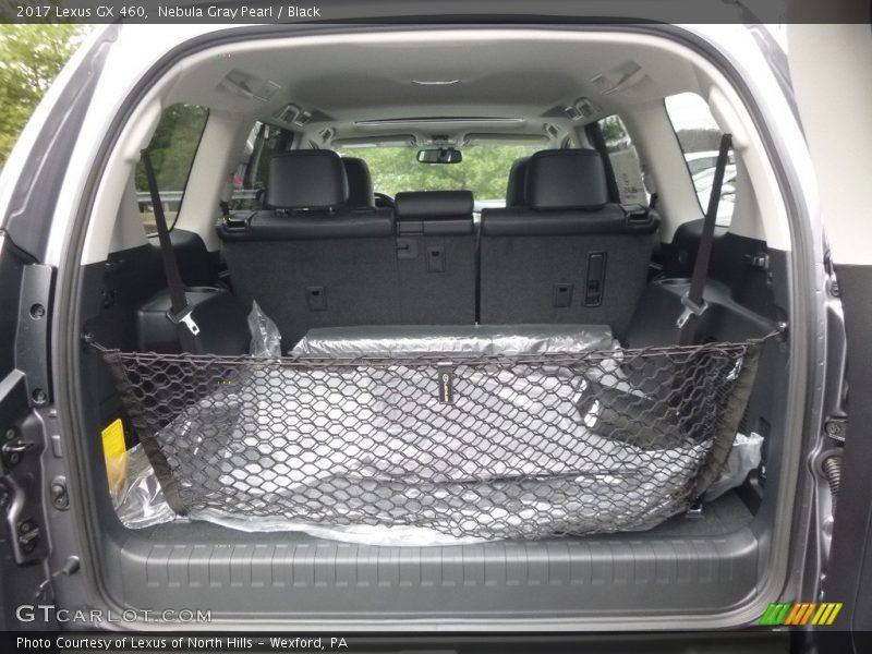 Nebula Gray Pearl / Black 2017 Lexus GX 460