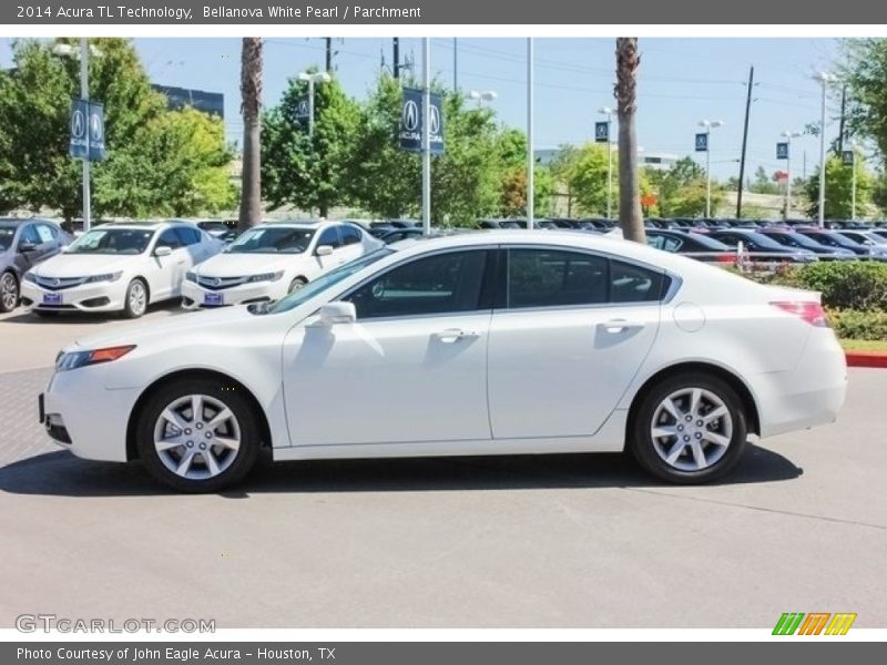 Bellanova White Pearl / Parchment 2014 Acura TL Technology