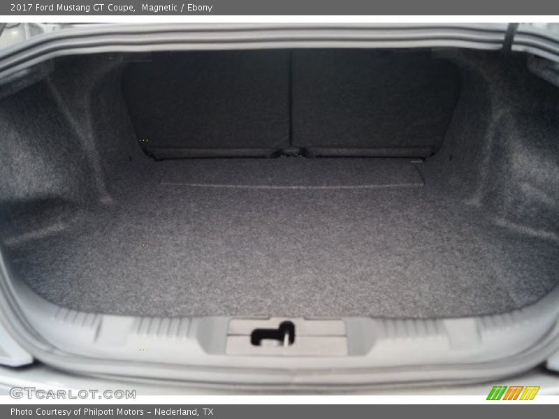 Magnetic / Ebony 2017 Ford Mustang GT Coupe