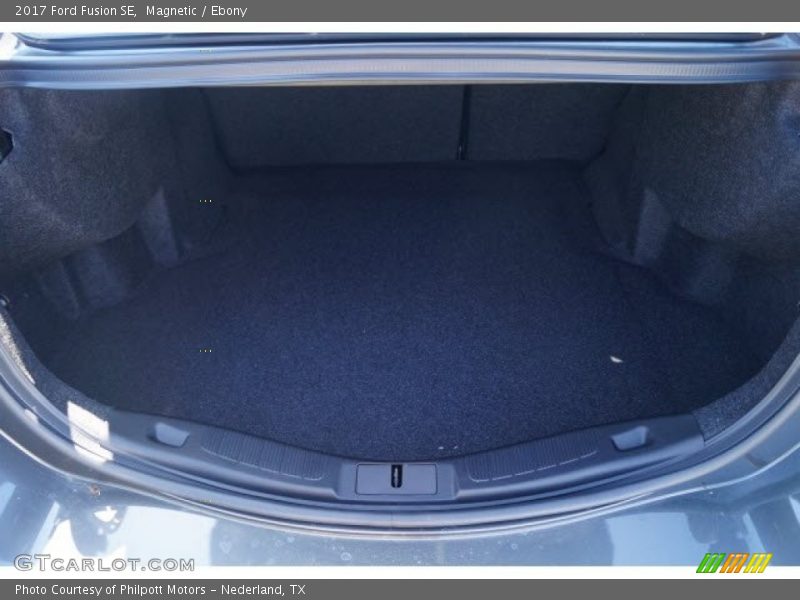 Magnetic / Ebony 2017 Ford Fusion SE