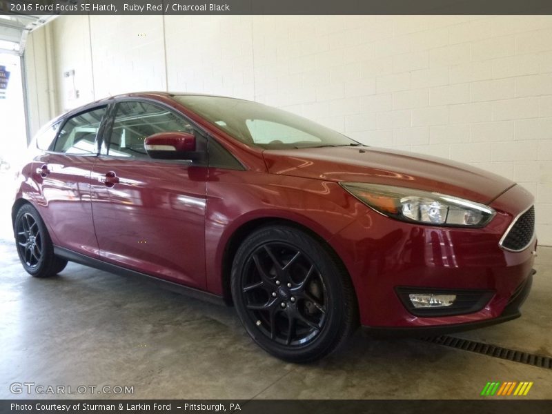 Ruby Red / Charcoal Black 2016 Ford Focus SE Hatch