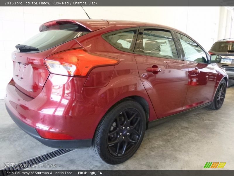Ruby Red / Charcoal Black 2016 Ford Focus SE Hatch