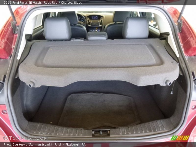 Ruby Red / Charcoal Black 2016 Ford Focus SE Hatch