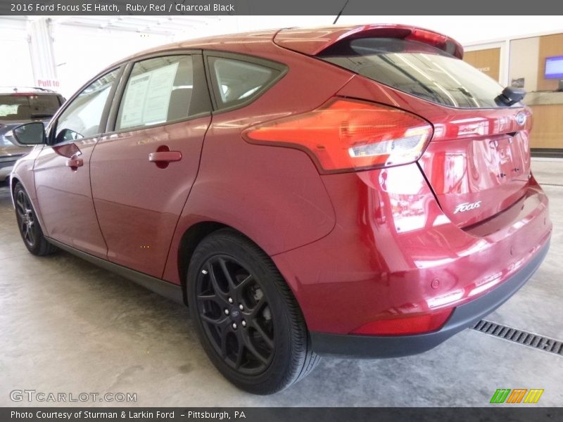 Ruby Red / Charcoal Black 2016 Ford Focus SE Hatch