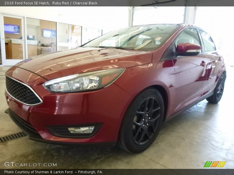 Ruby Red / Charcoal Black 2016 Ford Focus SE Hatch