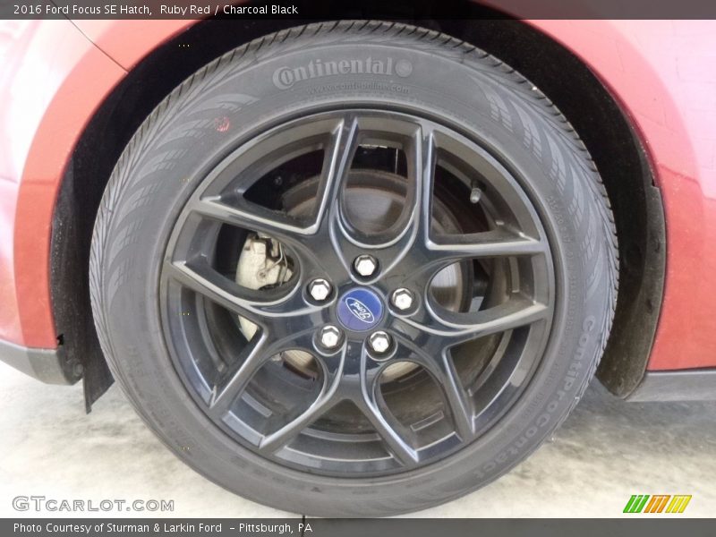 Ruby Red / Charcoal Black 2016 Ford Focus SE Hatch