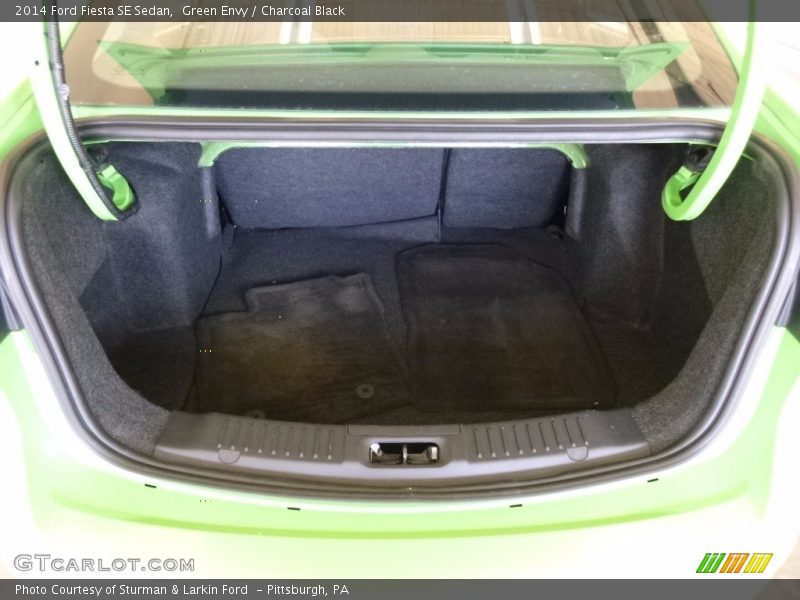 Green Envy / Charcoal Black 2014 Ford Fiesta SE Sedan