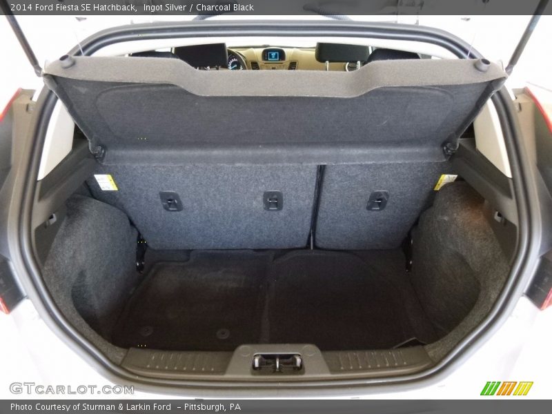 Ingot Silver / Charcoal Black 2014 Ford Fiesta SE Hatchback