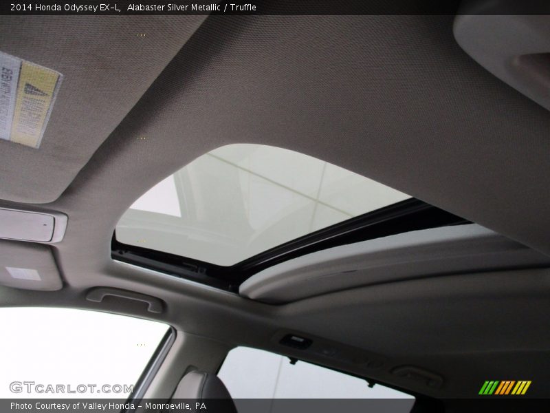 Alabaster Silver Metallic / Truffle 2014 Honda Odyssey EX-L