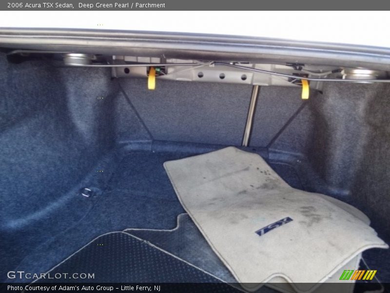Deep Green Pearl / Parchment 2006 Acura TSX Sedan