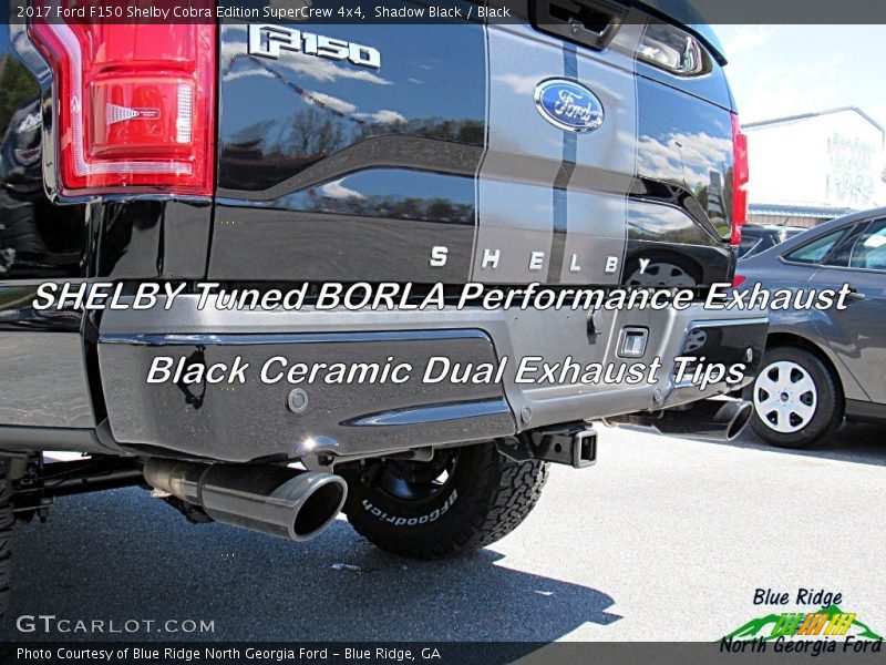 Shadow Black / Black 2017 Ford F150 Shelby Cobra Edition SuperCrew 4x4