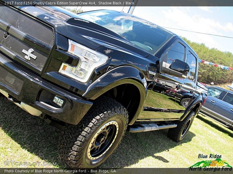 Shadow Black / Black 2017 Ford F150 Shelby Cobra Edition SuperCrew 4x4