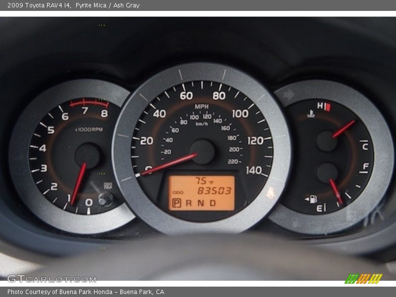 Pyrite Mica / Ash Gray 2009 Toyota RAV4 I4