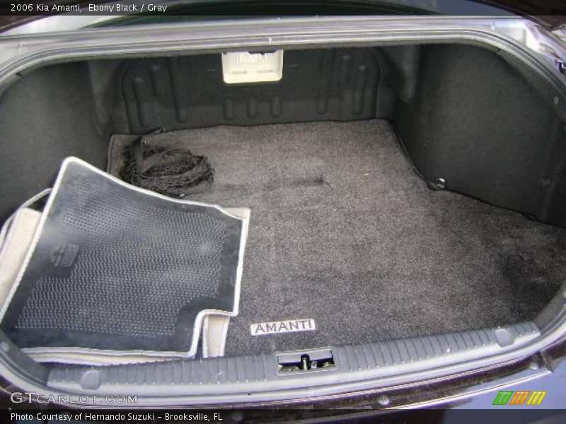 Ebony Black / Gray 2006 Kia Amanti