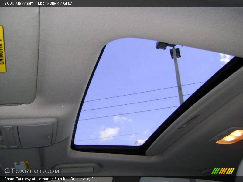 Ebony Black / Gray 2006 Kia Amanti
