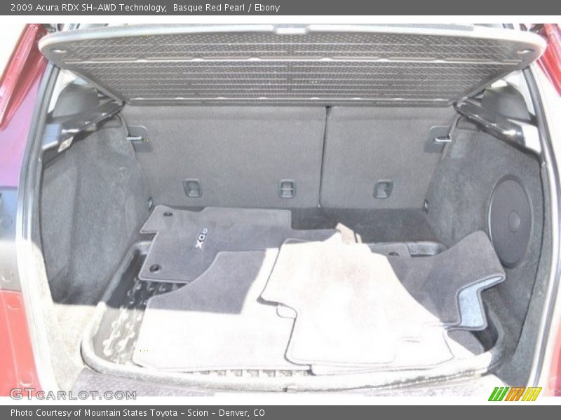 Basque Red Pearl / Ebony 2009 Acura RDX SH-AWD Technology