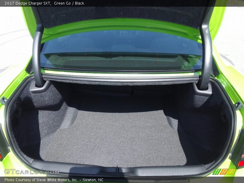 Green Go / Black 2017 Dodge Charger SXT