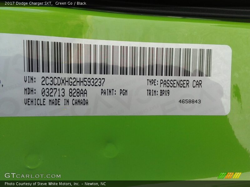 Green Go / Black 2017 Dodge Charger SXT