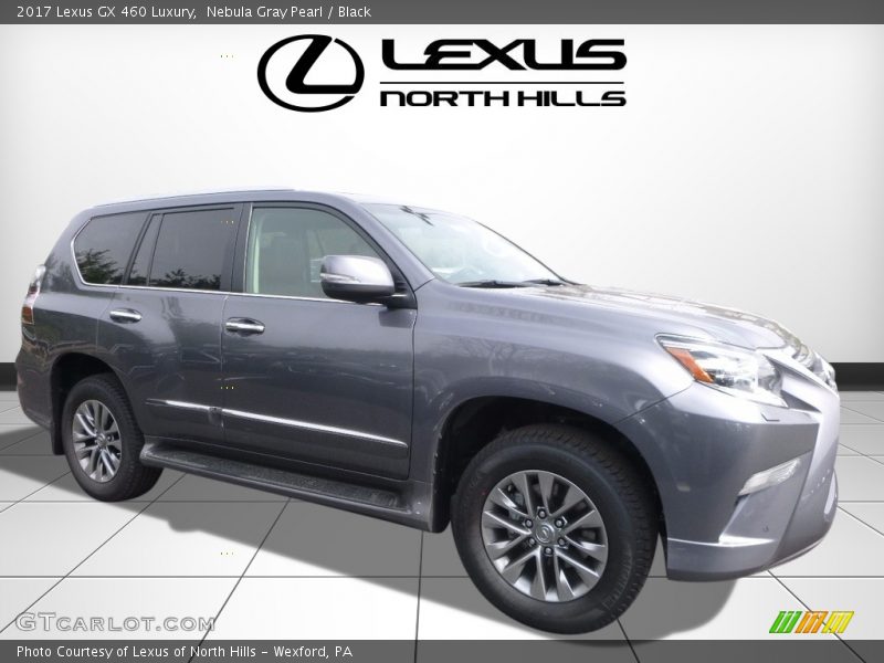 Nebula Gray Pearl / Black 2017 Lexus GX 460 Luxury