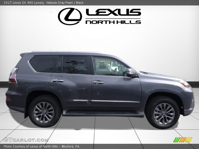 Nebula Gray Pearl / Black 2017 Lexus GX 460 Luxury