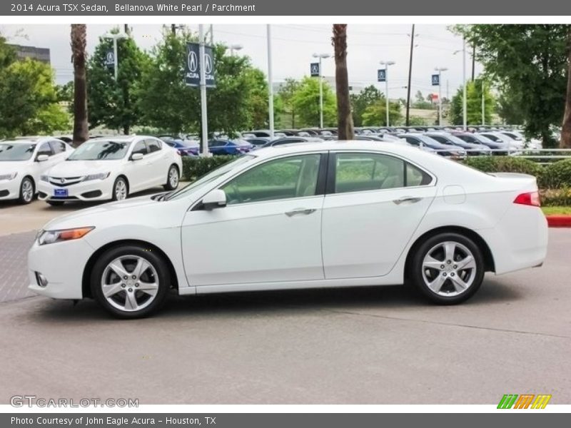 Bellanova White Pearl / Parchment 2014 Acura TSX Sedan