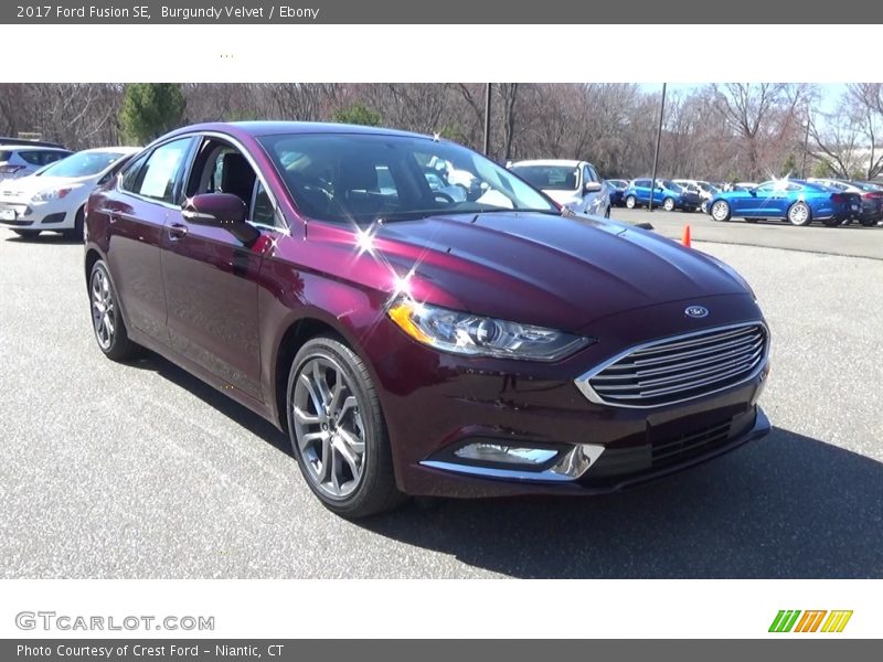 Burgundy Velvet / Ebony 2017 Ford Fusion SE