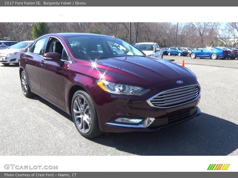 Burgundy Velvet / Ebony 2017 Ford Fusion SE