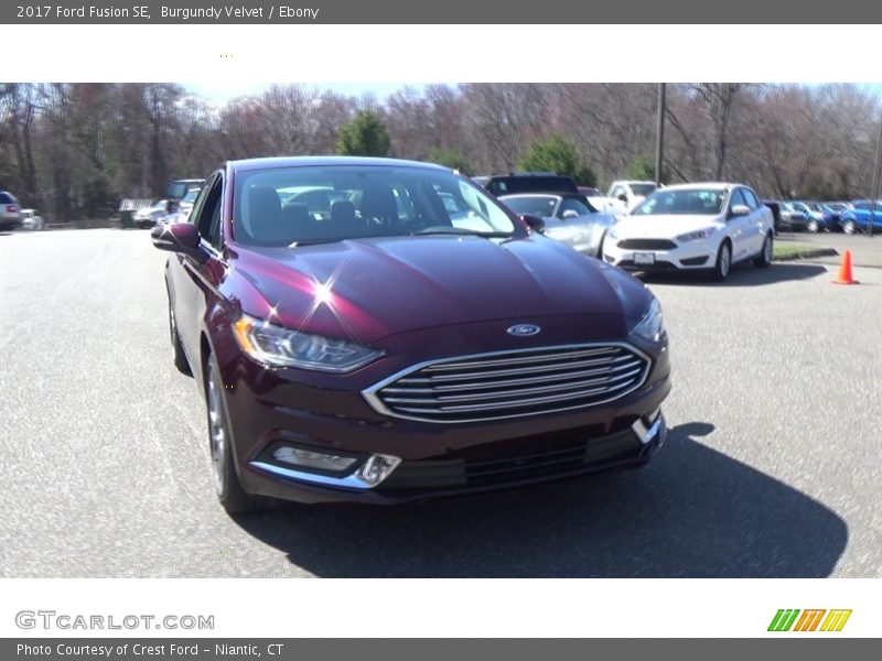 Burgundy Velvet / Ebony 2017 Ford Fusion SE
