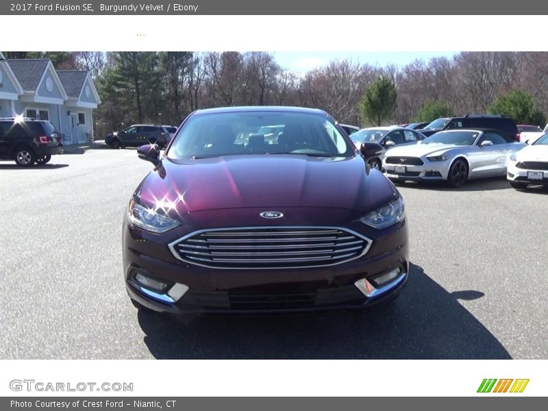 Burgundy Velvet / Ebony 2017 Ford Fusion SE
