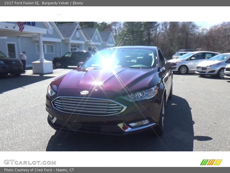 Burgundy Velvet / Ebony 2017 Ford Fusion SE