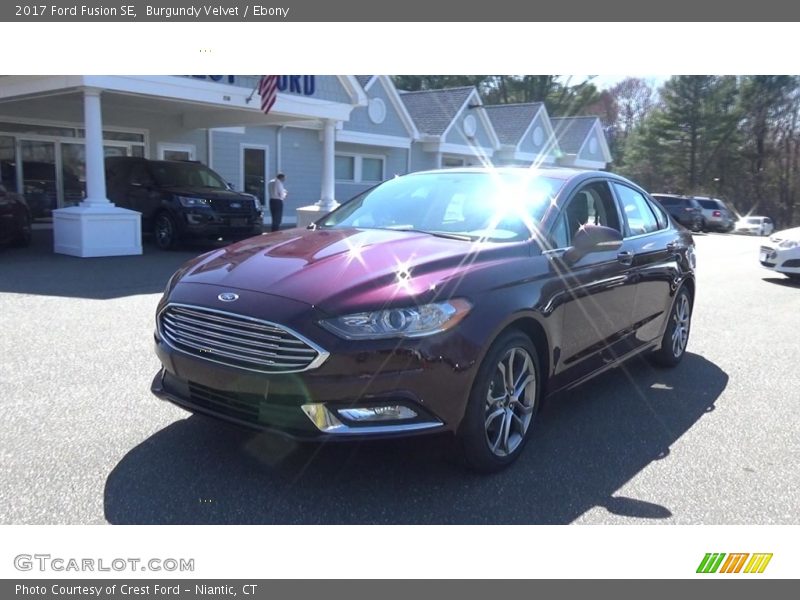 Burgundy Velvet / Ebony 2017 Ford Fusion SE