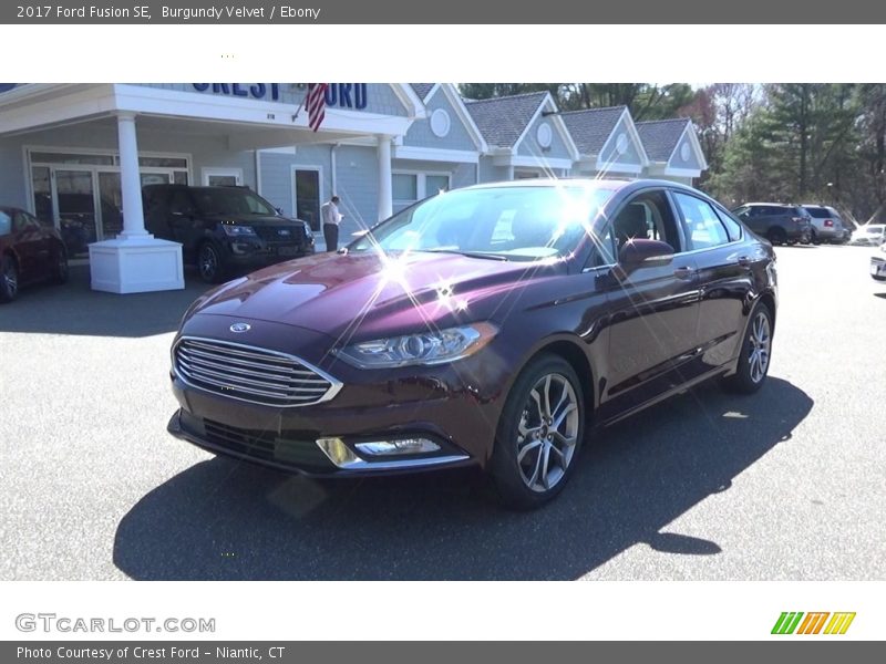 Burgundy Velvet / Ebony 2017 Ford Fusion SE