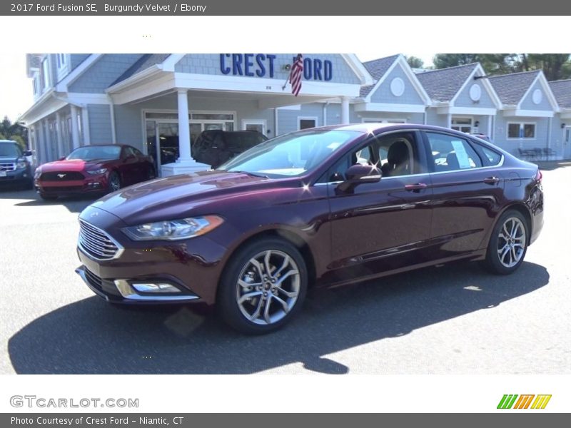 Burgundy Velvet / Ebony 2017 Ford Fusion SE