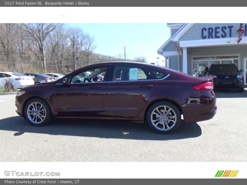 Burgundy Velvet / Ebony 2017 Ford Fusion SE