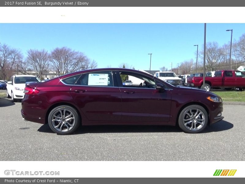 Burgundy Velvet / Ebony 2017 Ford Fusion SE