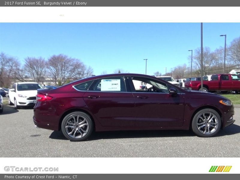 Burgundy Velvet / Ebony 2017 Ford Fusion SE
