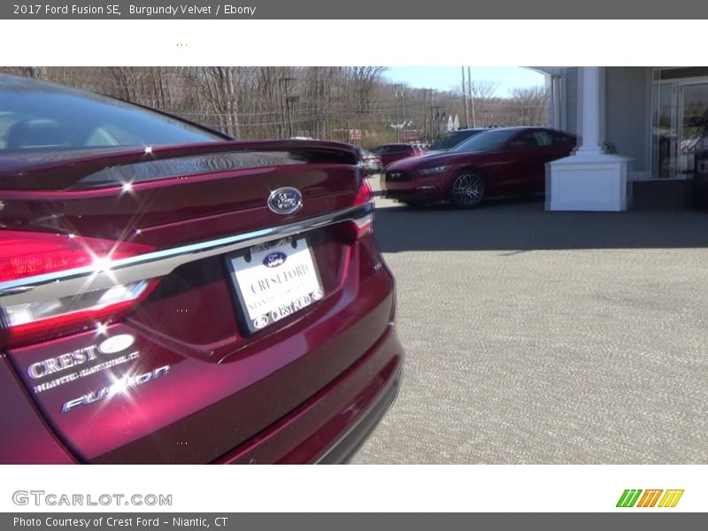 Burgundy Velvet / Ebony 2017 Ford Fusion SE