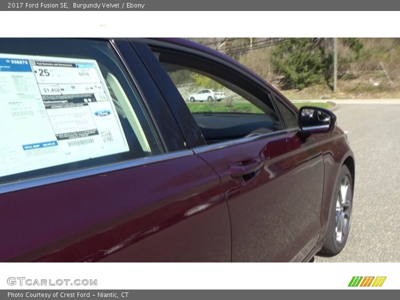 Burgundy Velvet / Ebony 2017 Ford Fusion SE