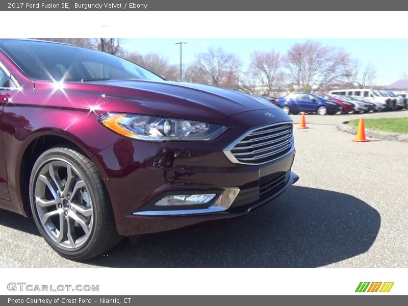 Burgundy Velvet / Ebony 2017 Ford Fusion SE