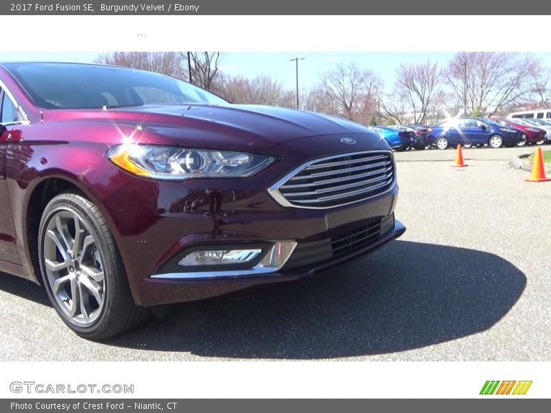 Burgundy Velvet / Ebony 2017 Ford Fusion SE