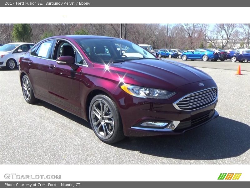 Burgundy Velvet / Ebony 2017 Ford Fusion SE