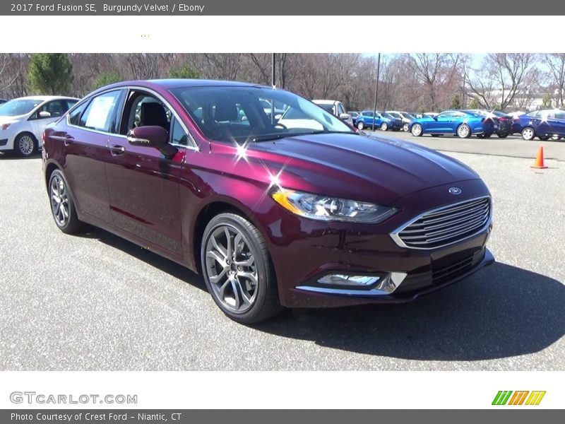 Burgundy Velvet / Ebony 2017 Ford Fusion SE