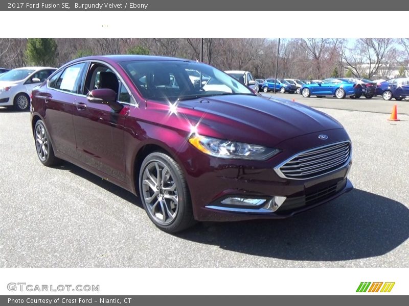Burgundy Velvet / Ebony 2017 Ford Fusion SE