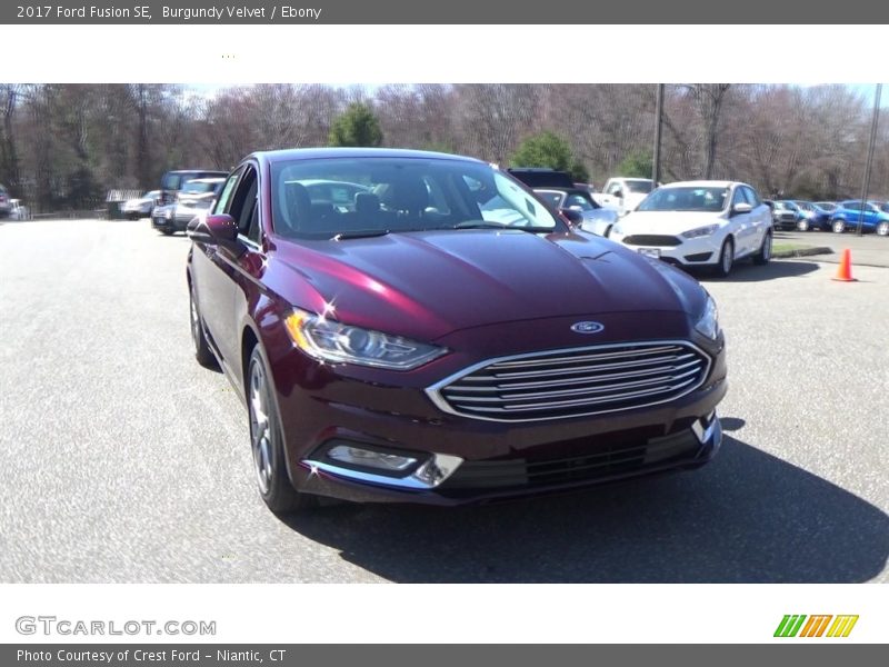 Burgundy Velvet / Ebony 2017 Ford Fusion SE