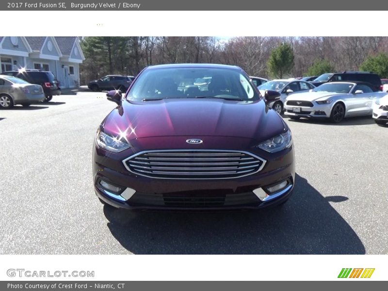 Burgundy Velvet / Ebony 2017 Ford Fusion SE