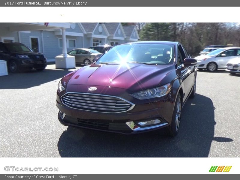 Burgundy Velvet / Ebony 2017 Ford Fusion SE