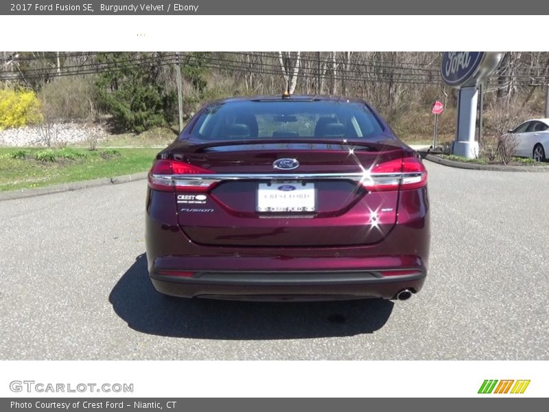 Burgundy Velvet / Ebony 2017 Ford Fusion SE